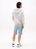 Grey Regular Hoody Zip Thru  Men