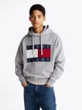 Grey Mélange Relaxed Hoody  Men