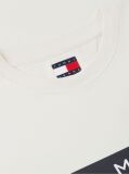 Μπεζ T-Shirt Με Κλασική Λαιμόκοψη Και Σημαία  Άνδρες