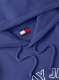 Blue Crest Logo Terry Hoody  Men