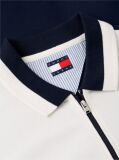 Multi Relaxed Fit Global Stripe Polo Shirt  Men