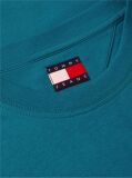 Πράσινο Βαμβακερό T-Shirt  Άνδρες