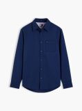 Blue Regular Fit Brushed Flannel Shirt  Men