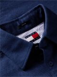 Blue Regular Fit Brushed Flannel Shirt  Men