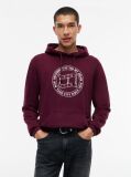 Μωβ Βαμβακερό Hoody Με Σημαιάκι Wavy  Άνδρες