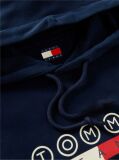 Blue Logo Sueded Terry Drawstring Hoody  Men
