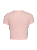 Pink Slim Fit Cropped Tonal Flag T-Shirt  Women
