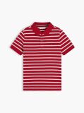 Multi Essential Flag Embroidery Regular Fit Polo  Boys
