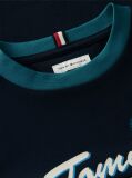 Blue Crest Logo Jersey T-Shirt  Boys