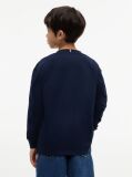 Blue Logo Long Sleeve T-Shirt  Boys