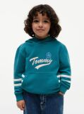 Blue Crest Logo Hoody  Boys