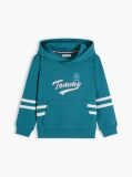 Blue Crest Logo Hoody  Boys