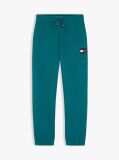 Blue Heritage Flag Logo Cuffed Drawstring Joggers  Kids Unisex