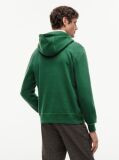 Green Flex Logo Hoody  Men