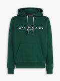 Green Flex Logo Hoody  Men