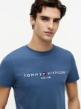Blue Organic Cotton Chest Logo T-Shirt  Men