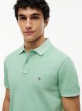 Green Garment Dyed Flag Embroidery Regular Polo  Men