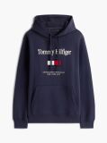 Blue Logo Embroidery Flex Fleece Hoody  Men
