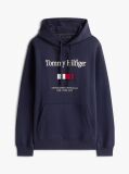 Blue Logo Embroidery Flex Fleece Hoody  Men