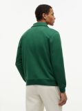 Green Graphic Quarter-Zip Rugby Sweatshirt  Men