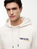 Beige Back Graphic Twill Terry Hoody  Men