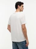 Μπεζ T-Shirt Με Wavy Σημαία  Άνδρες