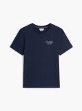 Blue Wavy Flag Back Graphic Jersey T-Shirt  Men