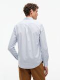 Blue Regular Fit Dobby Button-Down Shirt  Men