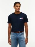 Blue Back Flag Graphic Crew Neck T-Shirt  Men