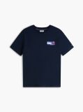 Blue Back Flag Graphic Crew Neck T-Shirt  Men