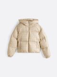 Multi Signature Print Puffer Jacket  Women