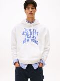 Beige Heritage '90s Varsity Hoody  Men