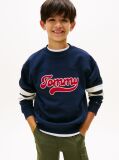 Blue Varsity Back Logo Colour-Blocked Sweatshirt  Boys