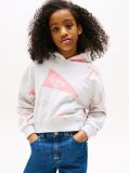 Γκρι Hoodie Με Σχέδιο  Κορίτσια