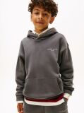 Γκρι Fleece Hoody Με Λογότυπο Σε Κανονική Γραμμή  Παιδί Unisex