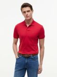 Red Regular Fit Polo Shirt  Men