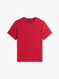 Κόκκινο T-Shirt Με Κεντητή Σημαία  Άνδρες