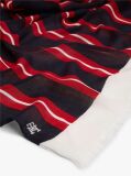 Multi Chic Lightweight Scarf  Women