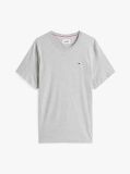 Γκρι T-Shirt Σε Κανονική Γραμμή Με Κλασική Λαιμόκοψη  Άνδρες