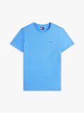 Blue Regular Fit Crew T-Shirt  Men
