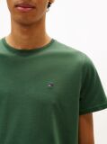 Green Regular Fit Crew T-Shirt  Men