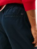 Blue Austin Jogger  Men