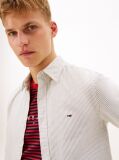 Multi Slim Stripe Oxford Shirt  Men