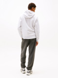 Γκρι Άνετο Hoodie Με Σημαία  Άνδρες
