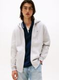 Grey Regular Hoody Zip Thru  Men