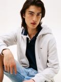 Grey Regular Hoody Zip Thru  Men