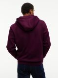Purple Regular Hoody Zip Thru  Men