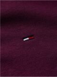 Purple Regular Hoody Zip Thru  Men