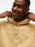 Beige Regular Logo Hoody  Men