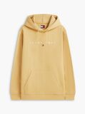 Beige Regular Logo Hoody  Men